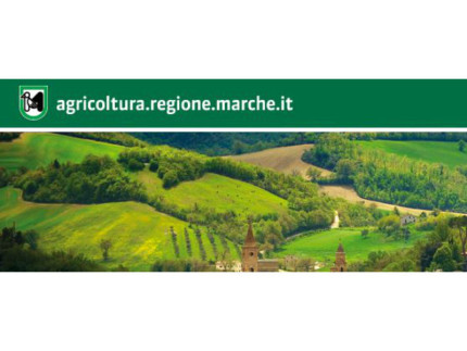 Bando Regione Marche