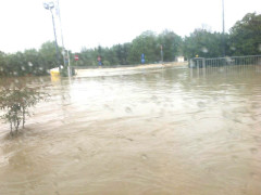 L'azienda Comar di Senigallia durante l'alluvione del 3 maggio 2014