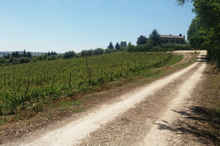 Nuovi percorsi ciclopedonali realizzati a Corinaldo: oltre 18 km in quattro percorsi ad anello che toccano le frazioni Ville, Sant’Apollonia, Nevola, Madonna del Piano