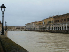 Fiume Misa 7 marzo 2017