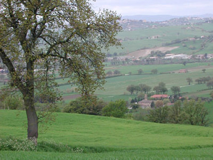 Il panorama e la storica chiesa di Santa Maria in Portuno a Corinaldo