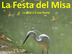 La Festa del Misa