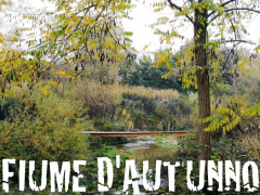 Confluenze: passeggiata fiume d'autunno