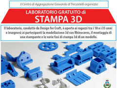 Workshop 3d