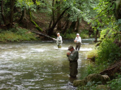 Pesca stagione 2018