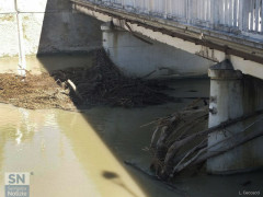 Lavori di pulizia del letto del fiume Misa a Senigallia, sotto i piloni del ponte Garibaldi