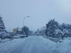 Neve a Pianello di Ostra