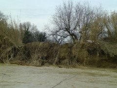 Fiume Misa a Molino Marazzana