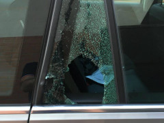 topi d’auto in azione nel parcheggio di Villa Torlonia