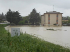 Fiume Misa: allagamenti tra Vallone e Bettolelle