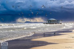 “Volo autunnale" di Carlo Torelli