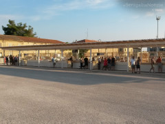 La pescheria al porto di Senigallia