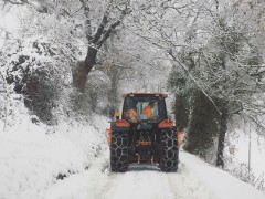 Neve ad Arcevia