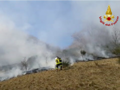 Sassoferrato, incendio nel sottobosco: sul posto i Vigili del Fuoco