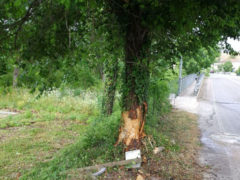 Incidente a Pianello di Ostra