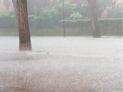 Allagamenti per la pioggia in viale A. Garibaldi