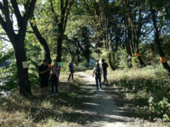 flash mob sul fiume Misa