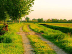 Campagna, agriturismo