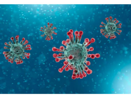 CoronaVirus