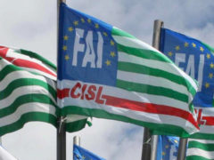 Bandiere della Fai Cisl