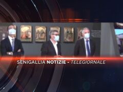 videogiornale e la mostra a palazzo del duca