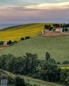 Quadro di campagna - Foto Floriana Giacchini