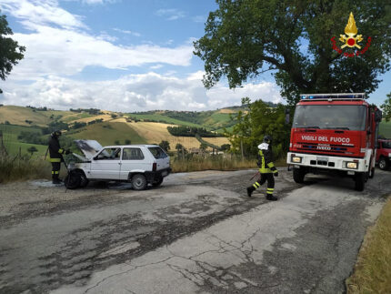 Panda in fiamme ad Arcevia