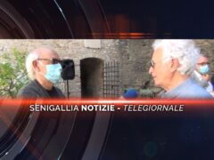 videogiornale carli cresci