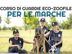 Corso guardie eco-zoofile