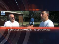 senigallia notizie telegiornale