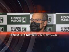 senigallia notizie telegiornale