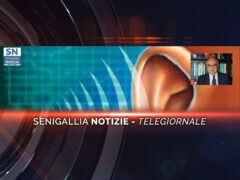 senigallia notizie telegiornale