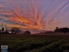 Tramonti nell'entroterra senigalliese - Cieli di fuoco sulle nostre colline - Foto di Marcello Moroni