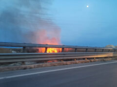 Incendio lungo il fiume Cesano