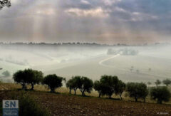 Raggi di sole sulla foschia... - Foto Marcello Moroni