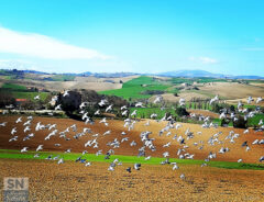 In volo! - Foto Sabina Bittoni