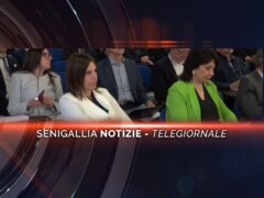 senigallia notizie telegiornale