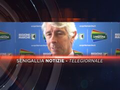 senigallia notizie telegiornale