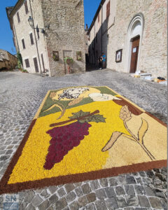 L'infiorata a Castiglioni di Arcevia - Foto Giancarlo Rossi