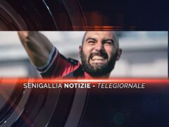 senigallia notizie telegiornale