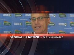 senigallia notizie telegiornale