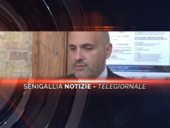 senigallia notizie telegiornale