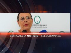 senigallia notizie telegiornale