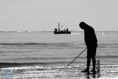 Vongole, cannelli e telline - Foto Andrea Pigliapoco