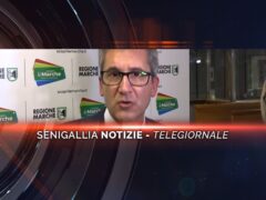 senigallia notizie telegiornale