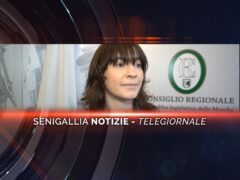 senigallia notizie telegiornale