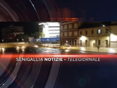 senigallia notizie telegiornale