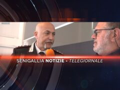 senigallia notizie telegiornale