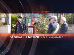 senigallia notizie telegiornale