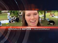 senigallia notizie telegiornale